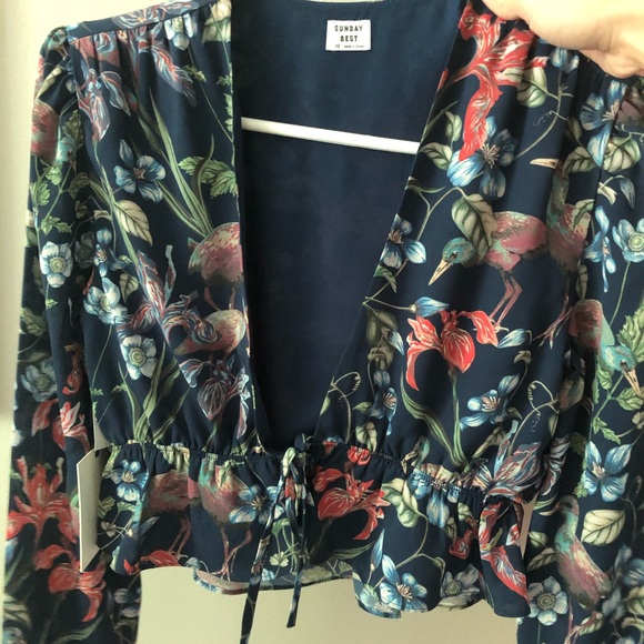 Aritzia Sunday Best Birds of Paradise blouse - Picture 4 of 6